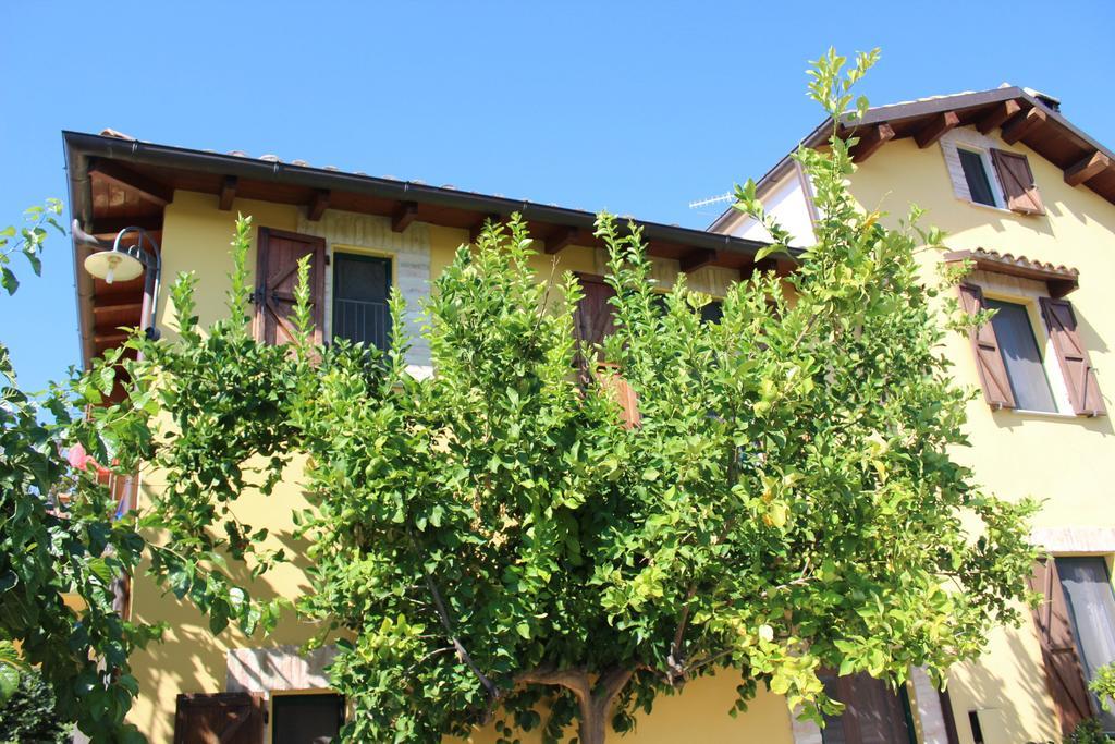 B&B Rosa Dalfonsina Villalfonsina エクステリア 写真