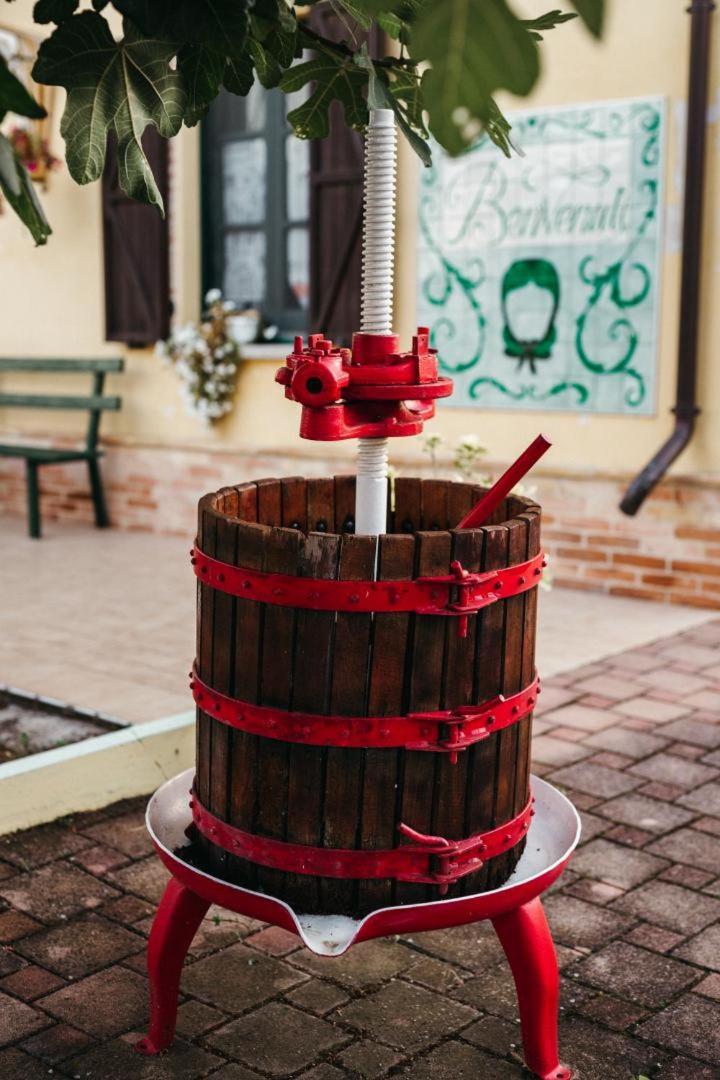 B&B Rosa Dalfonsina Villalfonsina エクステリア 写真