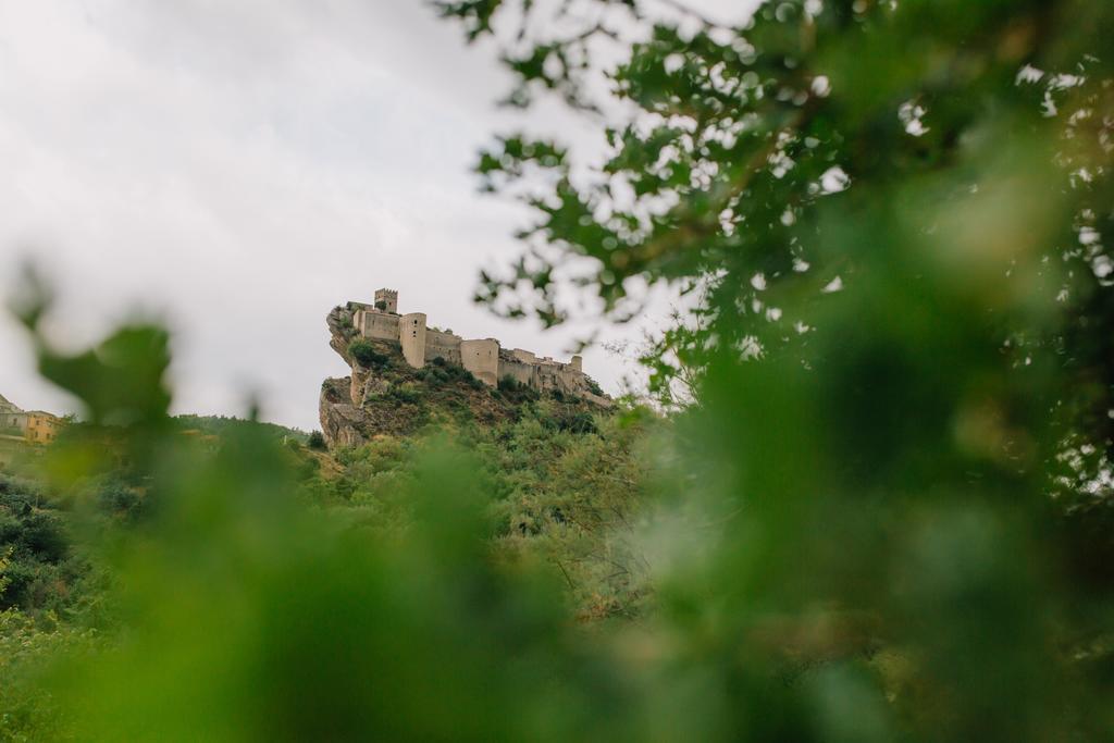 B&B Rosa Dalfonsina Villalfonsina エクステリア 写真